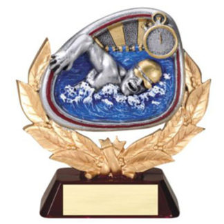Male multicolor swim trophy