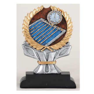Multicolor resign swimming trophy