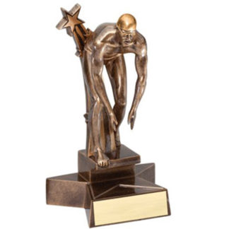 Male swimmer in starting position